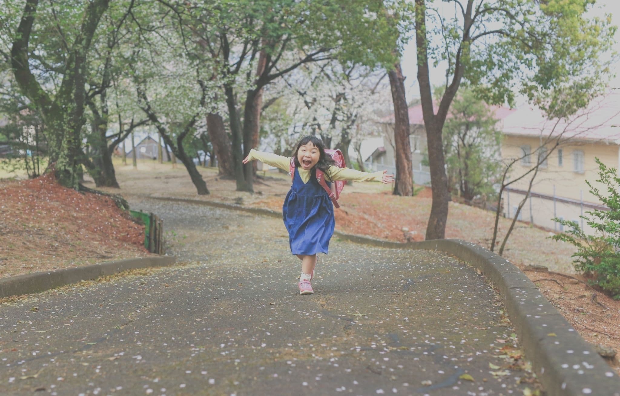 保険のnikotto 2